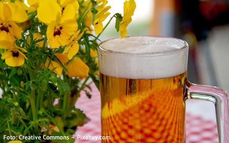 Bier im Sommer genießen